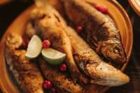 Hoijeres nams aicina uz “Zivju dienu” jūras svētku noskaņā