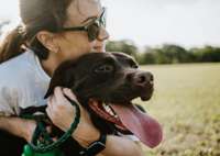 Tveice – bieds suņa veselībai. Kā parūpēties par mājdzīvnieka labsajūtu karstajā sezonā?