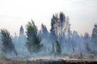 Piektdien Latvijā dzēsti 15 meža ugunsgrēki teju 21 hektāra platībā