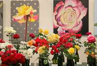 Liepājas Latviešu biedrības namā būs skatāma rožu ziedu izstāde