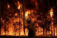 Alžīrijas savvaļas ugunsgrēkos 34 bojāgājušie