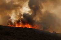 Spānijā pie Francijas robežas strauji izplešas meža ugunsgrēks