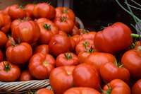 Receptes: Mīksts, miltains, aromātisks – īsts tomāts