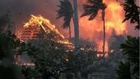Savvaļas ugunsgrēkos Havaju salās bojāgājušo skaits pieaudzis līdz 80 cilvēkiem