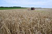 Krievija iznīcinājusi 270 000 tonnu Ukrainas graudu
