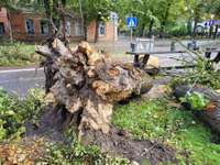 Foto un video: Vētra lauzusi kokus un rāvusi karogus