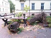 Foto: Izplatīts brīdinājums par spēcīgu vēju. Liepājā koks uzkritis pilsētas himnas skulptūrai