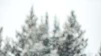 Ziemas mēnešos siltākais laiks gaidāms decembrī, aukstākais – februārī