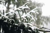 Otrdien daudzviet Latvijā uzsnigs, naktī uz ceturtdienu gaidāms spēcīgs sniegputenis, piekrastē – vētra