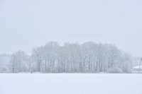 Arī piektdien Latvijā snigs