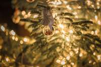 Aptauja: Latvijā 60% iedzīvotāju šajos Ziemassvētkos rotās īstu eglīti