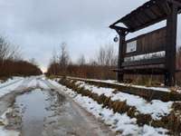 Plāno izveidot Kurzemē pirmo zaļā dzelzceļa maršrutu “Pāvilosta–Liepāja”
