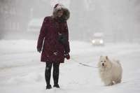 Tuvākajā diennaktī Latvijā snigs stiprāk, īpaši austrumu novados