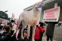 Dienvidkorejas parlaments aizliedz suņa gaļas tirdzniecību