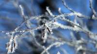 Gaisa temperatūra otrdien svārstīsies ap nulli, sākot ar piektdienu, Latvijā bieži snigs un putinās