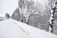 Sniegs un apledojums apgrūtina braukšanu visā Latvijā