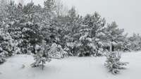 Sniega biezums Kurzemē sasniedz desmit centimetrus