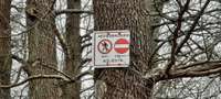 Foto: Patvaļīgais meža “privatizētājs” turpina izvietot aizlieguma zīmes