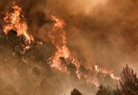 Spānijas austrumos plosās plašs meža ugunsgrēks