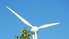 Joprojām var vērtēt SIA "Rapsoil" ieceri būvēt vēja elektrostaciju parku