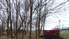 Aicina izteikt viedokli par koku ciršanu stadiona "Daugava" rezerves laukuma teritorijā