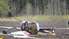 Divi ''Rally Liepāja'' laikā helikoptera avārijā cietušie - joprojām reanimācijā