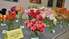 Biedrības namā uzplauks tulpju ziedu izstāde