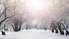 Sestdien daudzviet Latvijā snigs, vietām Kurzemē - stipri