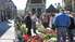 Rožu laukumā 4.maijā uzplauks stādu tirgus “Pavasaris ziedos”.