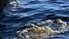 Pie Ziemeļu mola Liepājā glābēji no jūras izceļ bojāgājušo
