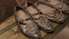 Liepājas muzejs aicina uz Ievas Pīgoznes lekciju par kāju āvumu gadsimtu gaitā