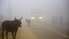 Indijas galvaspilsētu pārklājis toksisks smogs