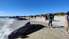 Austrālijas pludmalē izmetušās vairāk nekā 100 grindas
