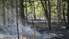 Dunikas pagastā deg desmit hektāru meža zemsedzes