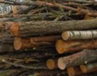 На рынке дров царит хаос единиц измерения