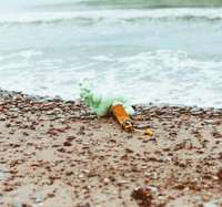 Лиепайские пляжи могут утратить Синий флаг. Пляж Военного городка признан самым грязным в Латвии