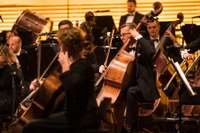 «Каждому Лиепайчанину»: Ближе к музыке и музыкантам – оркестр продолжает свой популярный цикл прямых трансляций