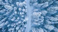 В ближайшие дни в Латвии может образоваться глубокий снежный покров