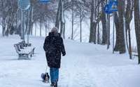 В Латвии установились морозы, каких в декабре не бывало много лет