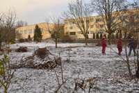 Благоустраивая территорию 8 средней школы, спили четыре дерева