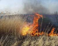 Во вторник был потушен первый пожар прошлогодней травы в этом году