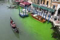Гранд-канал в Венеции окрасился в ярко-зеленый цвет