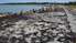 Впервые Северный мол очищают от водорослей