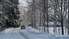 Движение по всей Латвии осложнено из-за снега и обледенения