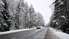 Из-за сильного снегопада движение затруднено по всей Латвии