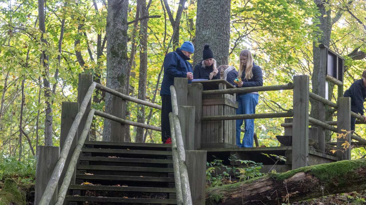 Foto un video: Zelta rudens Embūtē – pārgājiens, spēle un skaistie skati