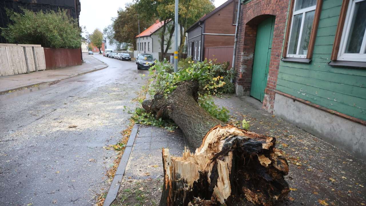 Foto: Nolauzti koki, apgāztas sētas un trakojoša jūra: Liepāju skar pirmā spēcīgā rudens vētra