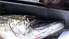 TV –  Notiek šogad pirmais zivju tirdziņš