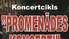 Aicina koncertcikls "Promenādes koncerti"