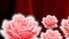 Ladies’ night – īpaša ballīte par godu meitenēm